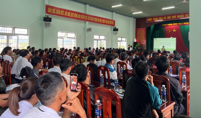 Hơn 400 hộ dân Lâm Đồng được cung cấp kiến thức trồng dâu nuôi tằm giống mới ảnh 2