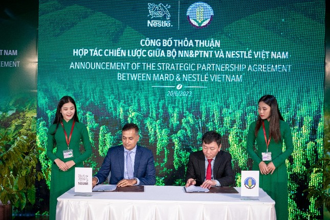 Nestlé khởi động dự án nông lâm kết hợp tại Việt Nam ảnh 1