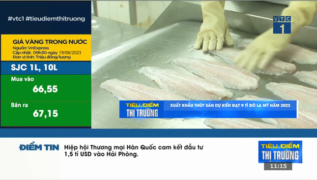 Tiêu điểm thị trường – Bản tin kinh tế, tài chính, xã hội hàng đầu trên VTC1 ảnh 2