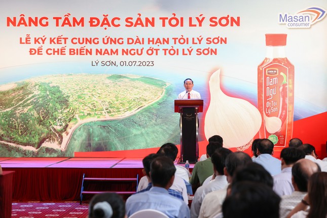 Đặc sản tỏi nổi tiếng Lý Sơn chính thức có mặt trong nước mắm Nam Ngư ớt tỏi Lý Sơn ảnh 2