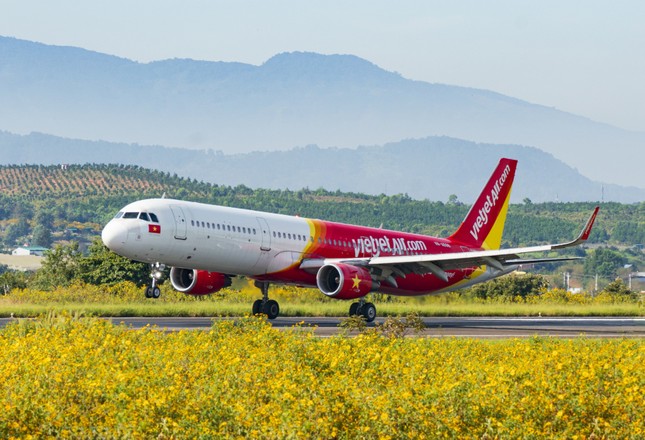 Bay thẳng Đà Lạt - Busan cùng Vietjet từ hôm nay ảnh 1