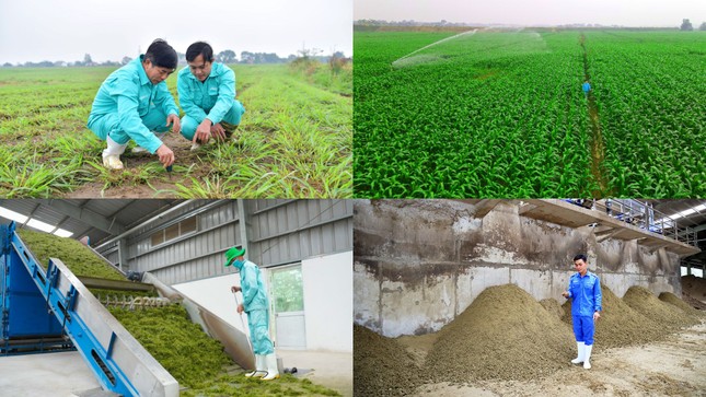 Để có các mô hình 'Trang trại sinh thái', 'Trung hòa carbon', Vinamilk đã chuẩn bị như thế nào? ảnh 2
