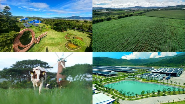 Để có các mô hình 'Trang trại sinh thái', 'Trung hòa carbon', Vinamilk đã chuẩn bị như thế nào? ảnh 3