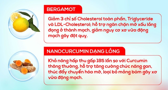Giảm 16% nguy cơ đột quỵ tái phát nếu kiểm soát tốt yếu tố này ảnh 2