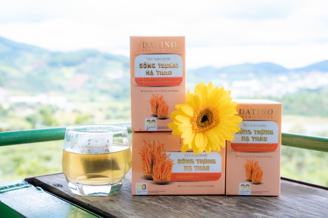 Công Ty CP Thực Phẩm Dinh Dưỡng Đà Lạt chính thức ra mắt thương hiệu trà thảo mộc Datino Premium Tea ảnh 2