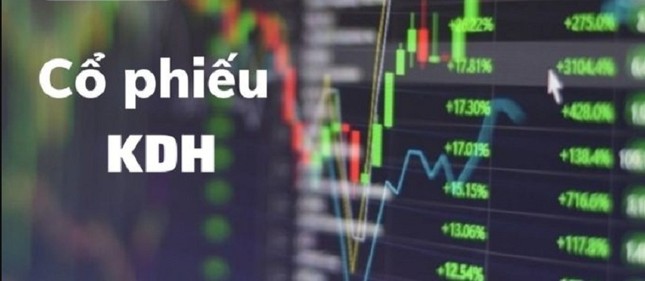 Cổ phiếu của tập đoàn Khang Điền và thông tin cần biết ảnh 2