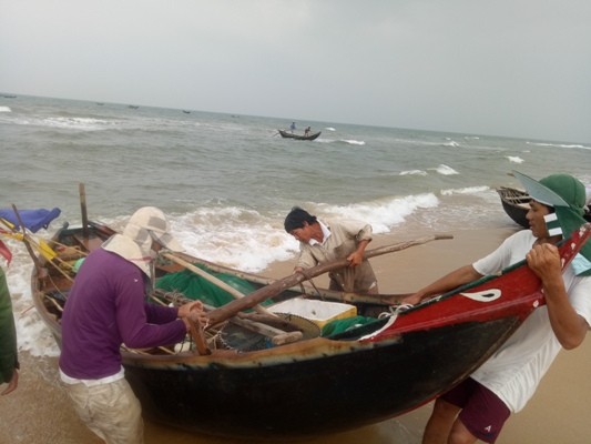 Chuyện về một làng chài thèm cá biển ảnh 1