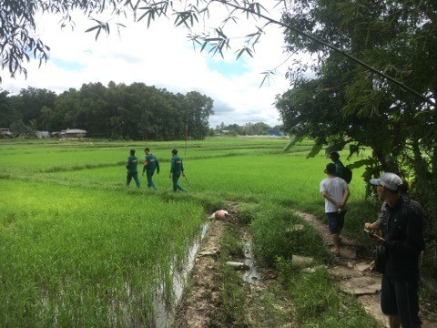 Phát hiện thi thể người phụ nữ lõa thể trên ruộng lúa ảnh 1