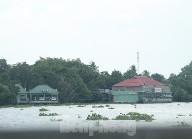 Bình Dương ‘mạnh tay’ xử lý các công trình sai phạm dọc sông Sài Gòn ảnh 2
