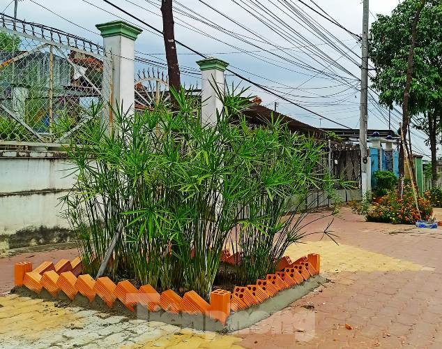 Tuổi trẻ Bình Dương ‘tô sắc’ đường phố dịp cuối tuần ảnh 10