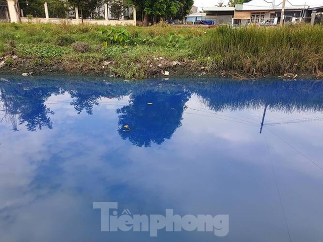 Nước kênh trong khu công nghiệp ở Bình Dương đổi màu xanh kỳ lạ ảnh 1