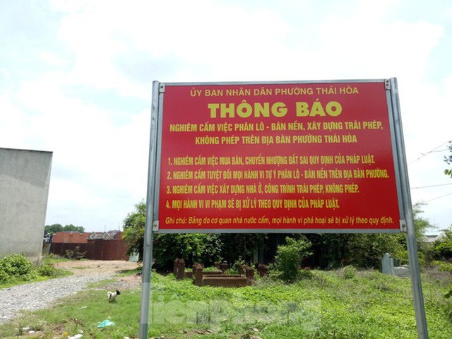Cán bộ không hướng dẫn để dân bị lừa mua dự án ‘ma’ sẽ bị xử lý ảnh 1