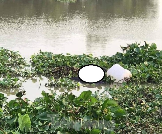 Phát hiện thi thể nữ giới buộc vào can nhựa trôi trên sông ảnh 1