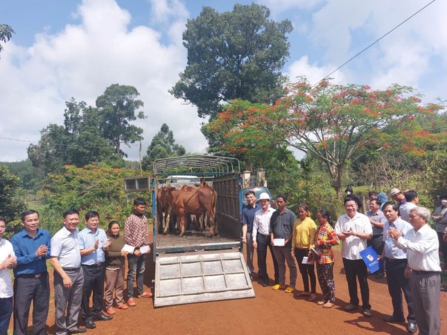 Tặng bò cho hộ nghèo và trồng cây khu vực biên giới Bình Phước ảnh 2