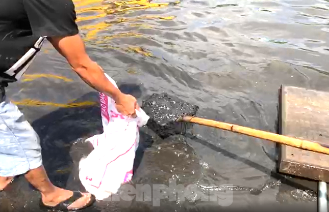 Quốc lộ 13 gần trạm thu phí Bình Dương ‘ngập như lũ về’, bốc mùi hôi tanh ảnh 2