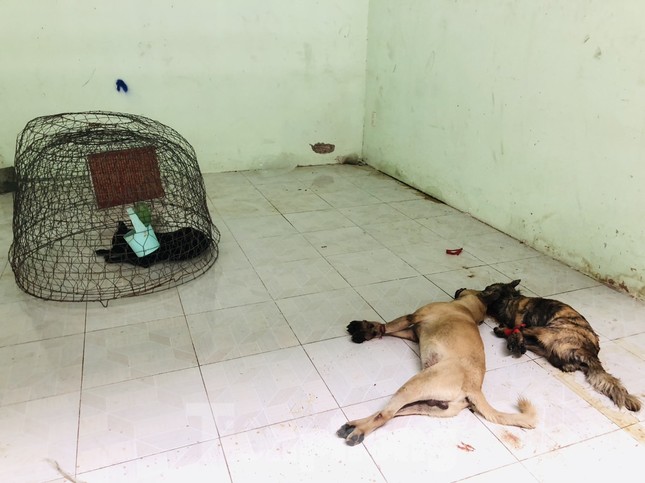 ‘Cẩu tặc’ rải đinh, bắn bị thương lực lượng truy đuổi ảnh 3