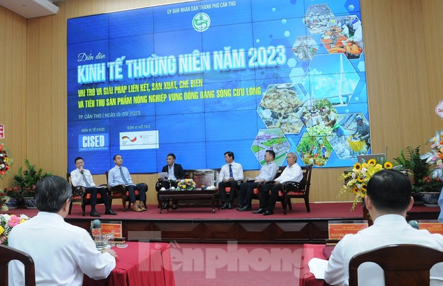 Kỳ vọng nông sản ĐBSCL 'cất cánh' nhờ trung tâm liên kết nghìn tỷ ảnh 2