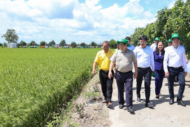 Thủ tướng: 'Đồng Tháp phải tiên phong xây dựng nông nghiệp sinh thái, nông thôn hiện đại' ảnh 2