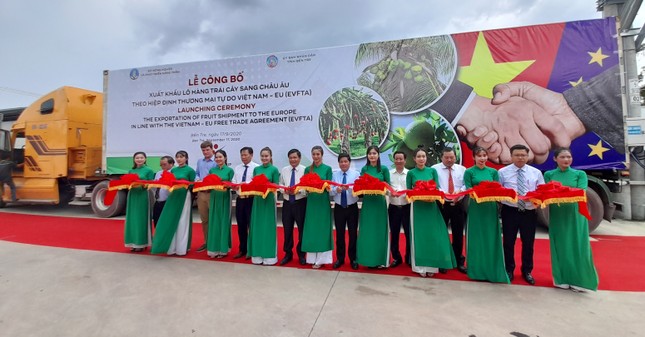 Xuất khẩu lô hàng trái cây sang châu Âu theo hiệp định EVFTA ảnh 2