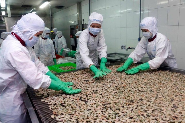 Xuất khẩu tôm sang EU tăng trưởng cao nhất kể từ đầu năm ảnh 1