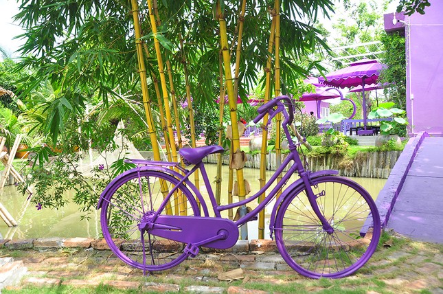 Căn nhà màu tím độc đáo ở Cần Thơ hút khách đến 'check-in' ảnh 16