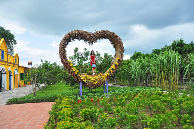 Căn nhà màu tím độc đáo ở Cần Thơ hút khách đến 'check-in' ảnh 8
