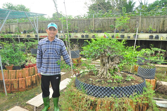 'Choáng ngợp' vườn bonsai 'khủng' ở Đồng Tháp ảnh 1