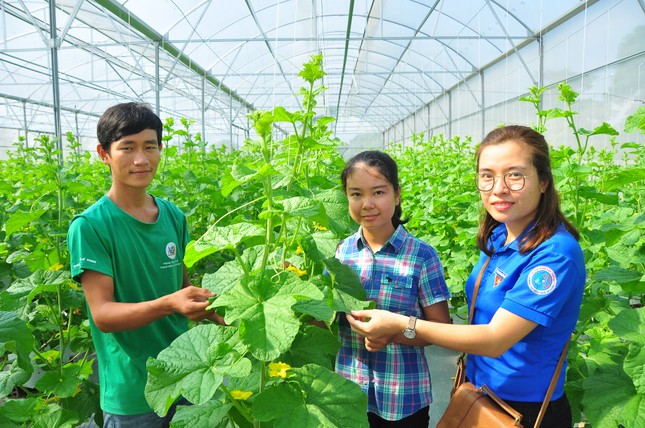 'Bà đỡ' 8X của thanh niên khởi nghiệp An Giang ảnh 3