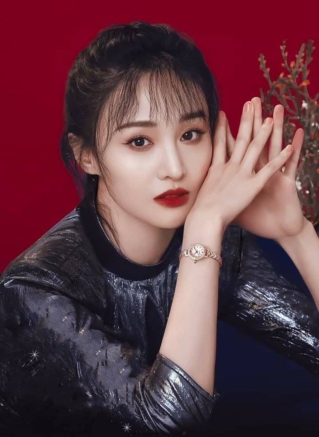 Gần hai năm không có phim để đóng, Trịnh Sảng dần đánh mất vị thế trong giới showbiz ảnh 1
