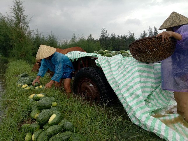 Mưa nhiều ngày gây ngập lụt, sạt lở nhiều nơi ở Thanh Hóa ảnh 2