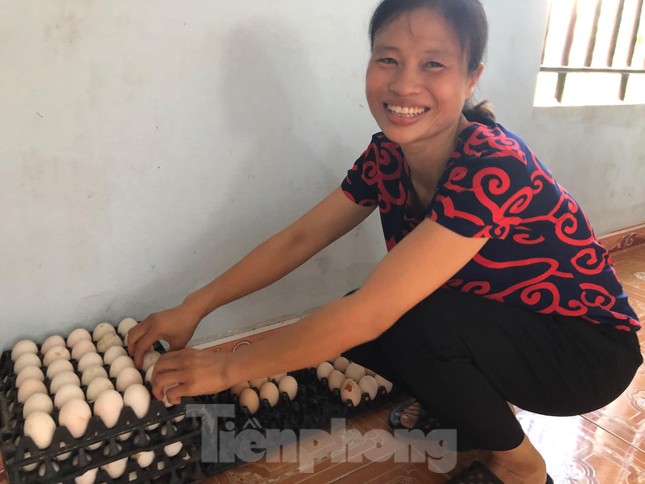 Trao học bổng tài năng cho thủ khoa khối A 'đạp xe giao trứng vịt' ảnh 5