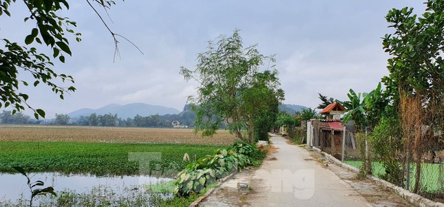 Người dân quê nhà vui, tự hào lần đầu có người lên ngôi Hoa hậu Việt Nam là Đỗ Thị Hà ảnh 5