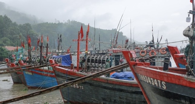 Thanh Hoá: Chủ động sơ tán dân, ứng phó bão số 1 ảnh 1