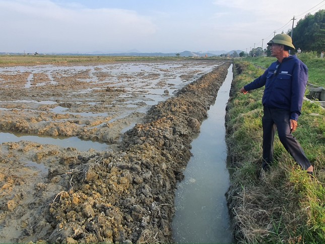 Doanh nghiệp cho máy đào phá ruộng để… đòi nợ ảnh 1