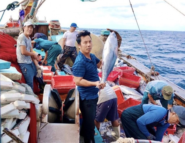 Lý do một ngư dân cứ ra khơi là thu về tiền tỷ ảnh 2