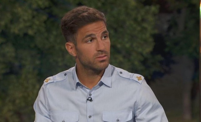 Bình World Cup, Fabregas bị chê tơi tả vì ăn mặc như... bảo vệ ảnh 1