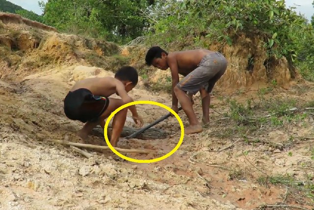 Clip: Rùng mình với cảnh 2 cậu bé bắt sống trăn ảnh 1