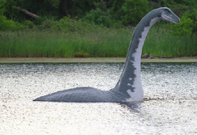 Phải ứng xử thế nào nếu bạn bắt được quái vật hồ Loch Ness? ảnh 1
