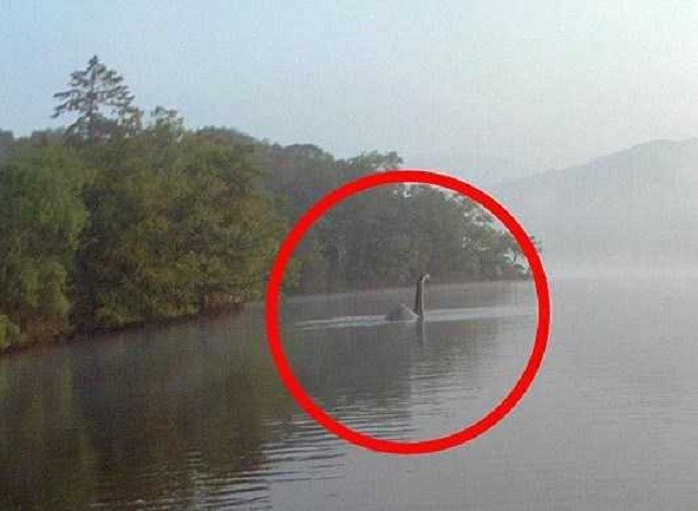 Phải ứng xử thế nào nếu bạn bắt được quái vật hồ Loch Ness? ảnh 3