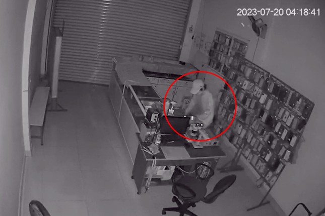 Kẻ trộm đột nhập cửa hàng điện thoại lúc rạng sáng ở TPHCM ảnh 1