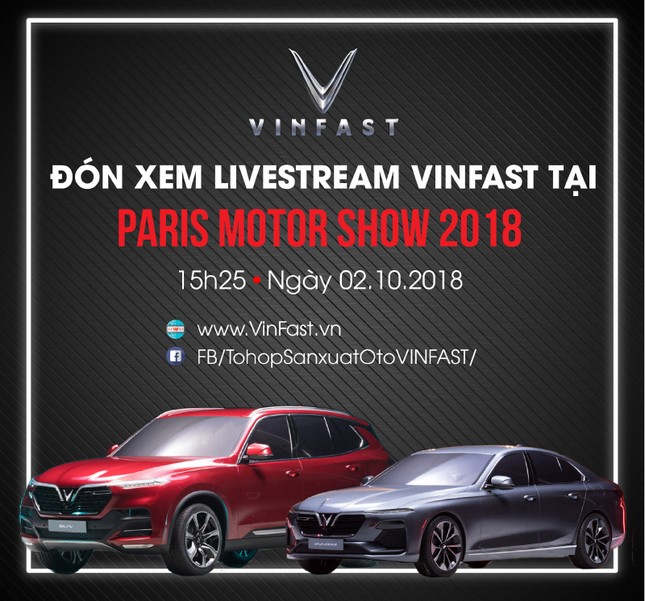 Hoa hậu Tiểu Vy và David Beckham xuất hiện bên xe Vinfast ảnh 42