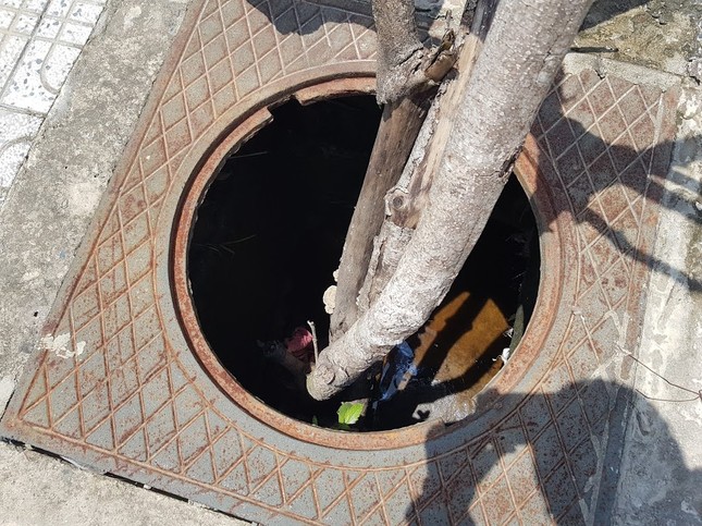 Hàng trăm nắp cống trên tuyến đường đẹp nhất đảo Phú Quốc bị trộm cắp ảnh 2