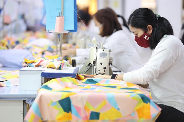 Doanh nghiệp trong vòng xoáy nợ nần ảnh 1