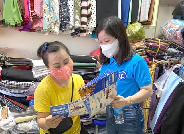 Chủ hộ kinh doanh đóng BHXH chưa đúng: Xử lý thế nào? ảnh 1