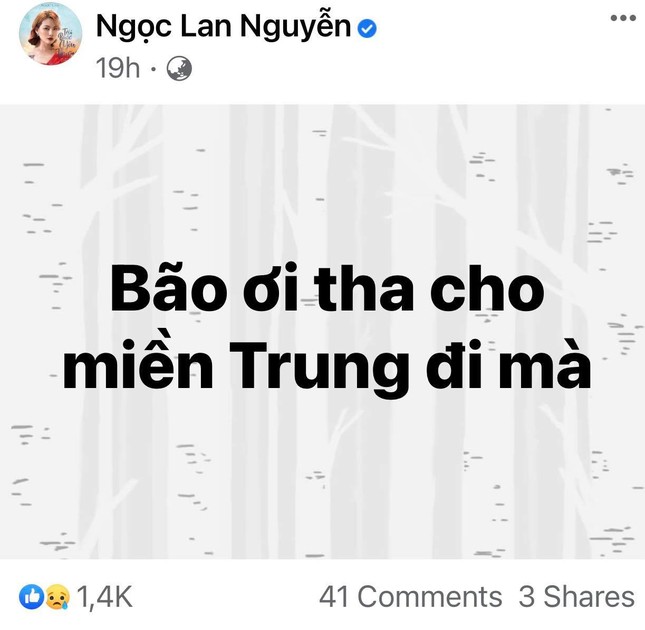 Trấn Thành, Bảo Thy, Đại Nghĩa và nhiều sao Việt một lòng hướng về miền Trung mùa bão lũ ảnh 5