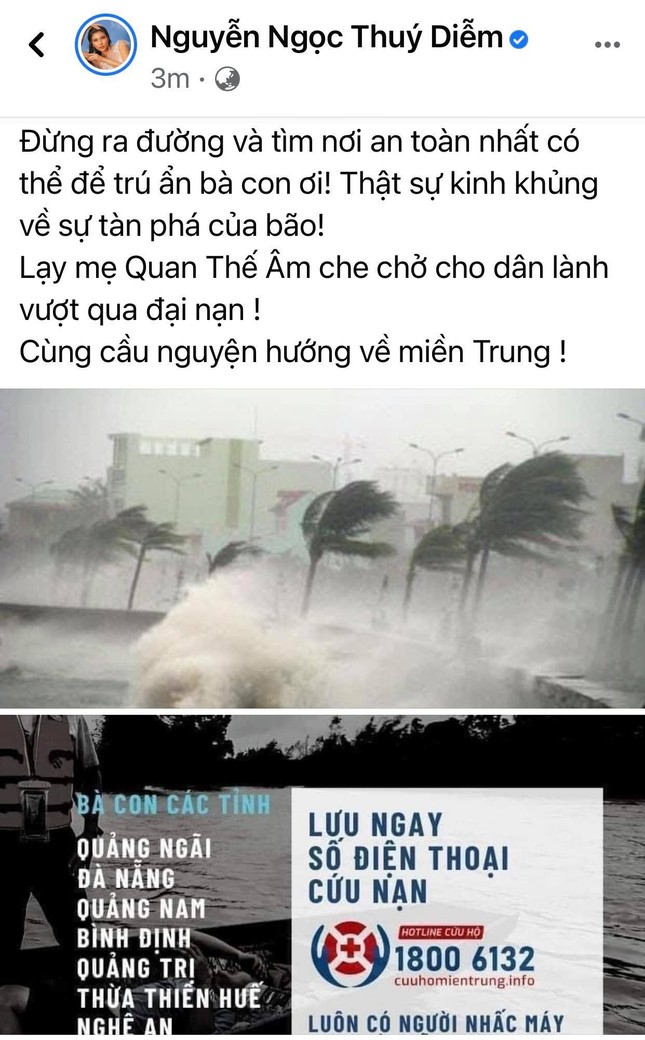 Trấn Thành, Bảo Thy, Đại Nghĩa và nhiều sao Việt một lòng hướng về miền Trung mùa bão lũ ảnh 3