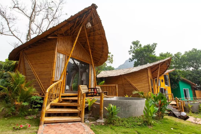 Ngày Quốc tế về Rừng: Trải nghiệm 5 ngôi nhà cây “độc nhất vô nhị” ở Việt Nam ảnh 2