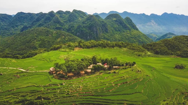 Ngày Quốc tế về Rừng: Trải nghiệm 5 ngôi nhà cây “độc nhất vô nhị” ở Việt Nam ảnh 1