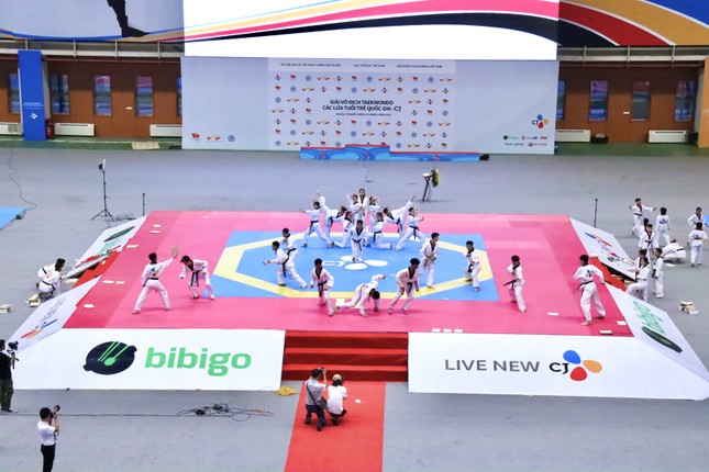 Giải vô địch Taekwondo các lứa tuổi trẻ quốc gia – CJ 2023 lần thứ 3 tại Hà Nội ảnh 2