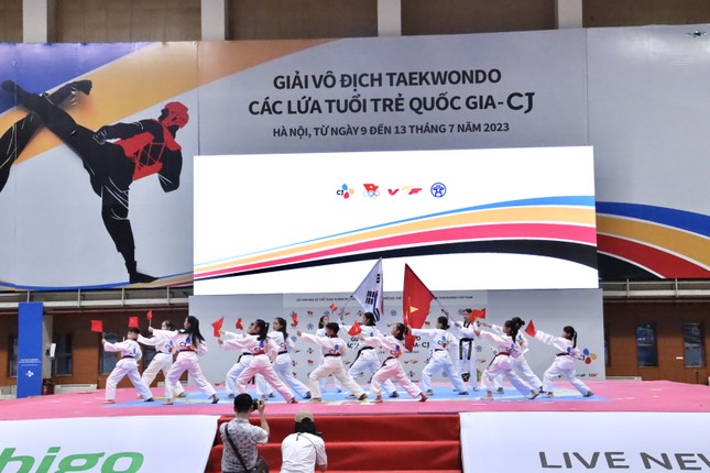 Giải vô địch Taekwondo các lứa tuổi trẻ quốc gia – CJ 2023 lần thứ 3 tại Hà Nội ảnh 1